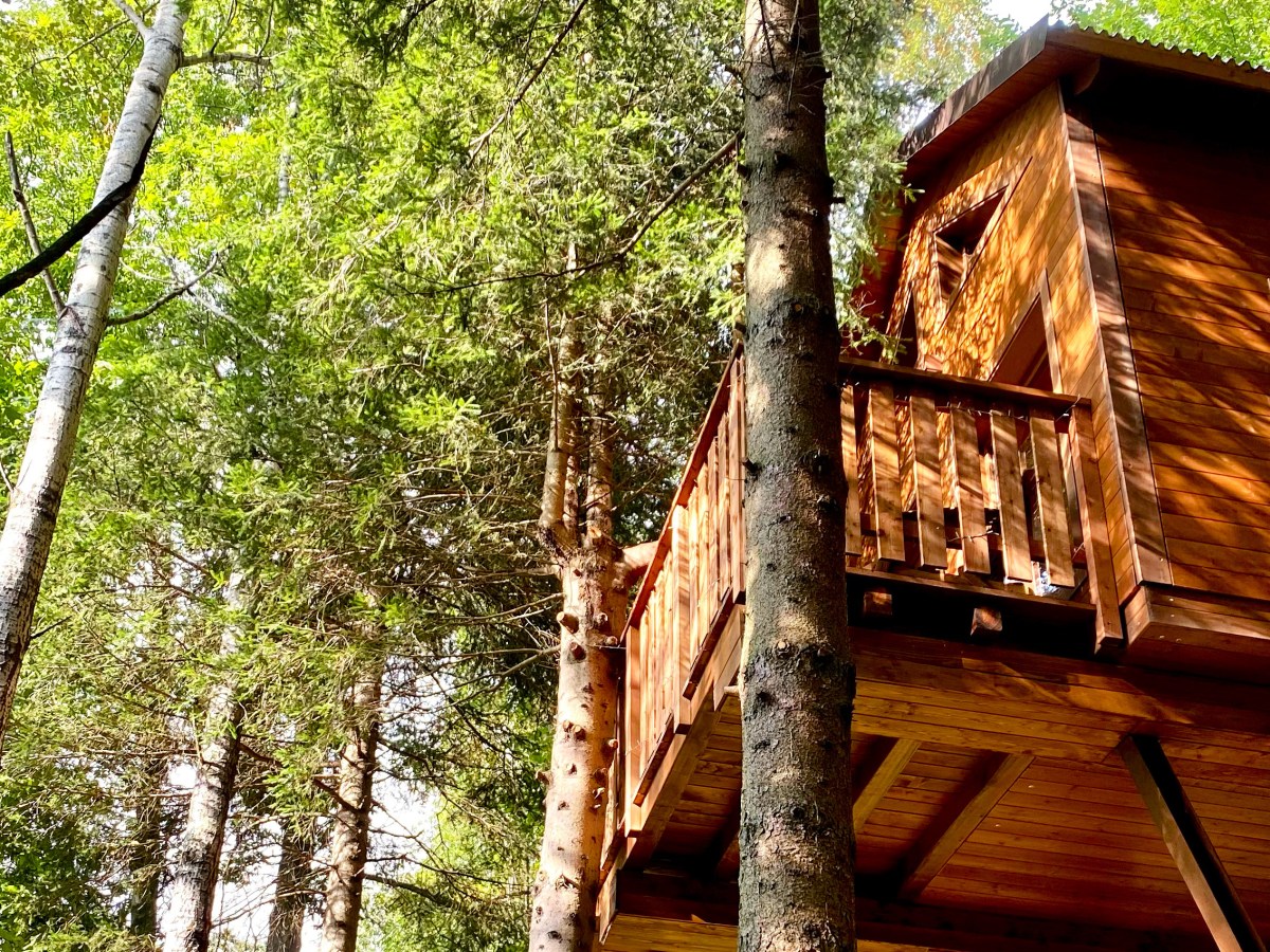 Monviso Treehouse: Ostana da&nbsp;vivere.