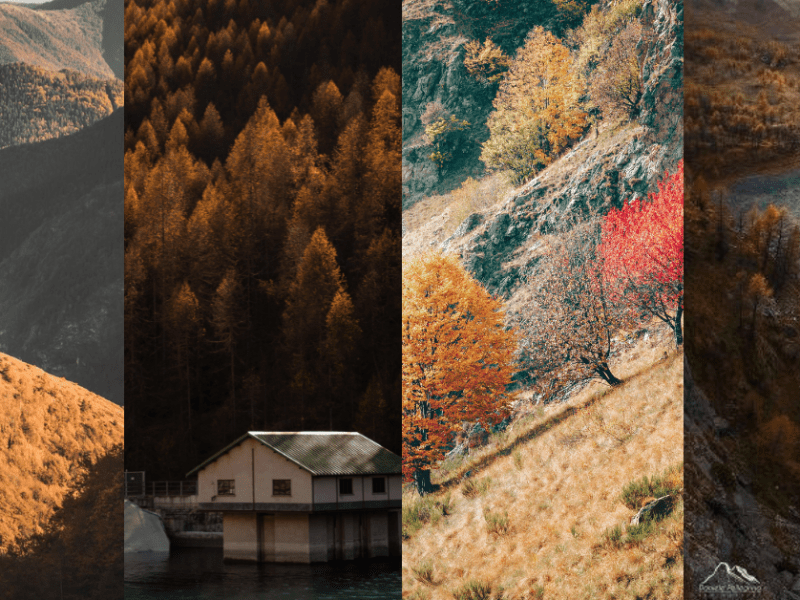 4 posti dove ammirare il foliage in provincia di&nbsp;Cuneo