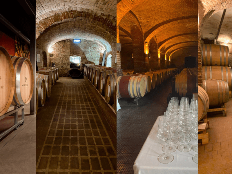 4 Posti dove fare Degustazione in Langa e&nbsp;Roero