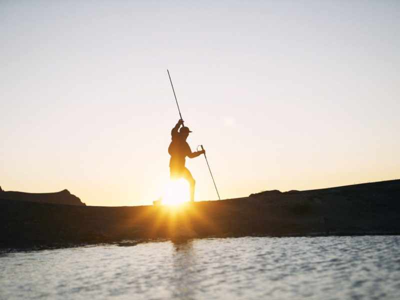 CAUT – Curnis Auta&nbsp;Trail